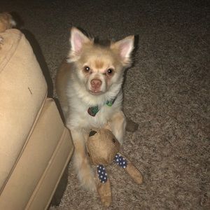 Meet your Posher, Brian